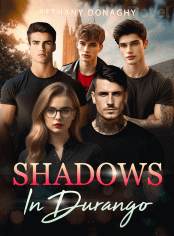 Shadows In Durango Novel by Bethany Donaghy Reviews